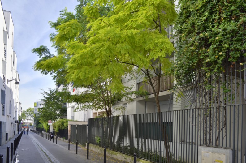Rue Emile Duployé